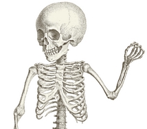 skeleton